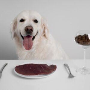 beautiful-dog-with-nutritious-food_23-2150742804