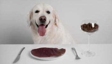 beautiful-dog-with-nutritious-food_23-2150742804