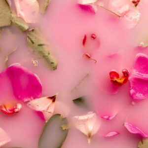 orchids-roses-pink-colored-water_23-2148256428